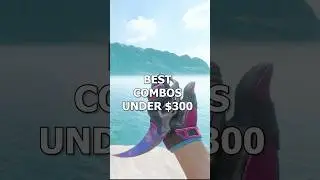 The BEST COMBOS Under $300 (BUDGET CS2 Knife and Glove Combo)