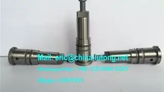 10 mm diesel elements / plungers of 2 418 450 000, 2450-000 for sale from China