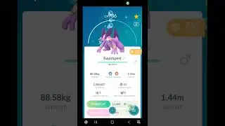 shiny swampert
