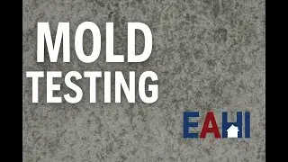 Mold Risks and Health Dangers | East Alabama Home Inspectors