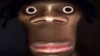 Memes I Found In My Phone Storage