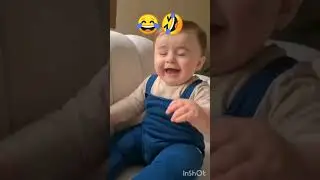 cute_toucan_🦤💞___monkey_🐒_funny_🤣#funnyvideos_#toucan_#ytshorts_ #comedy #funny #shorts_ #facts