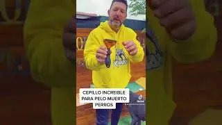 Cepillo para sacar pelo en perrros
