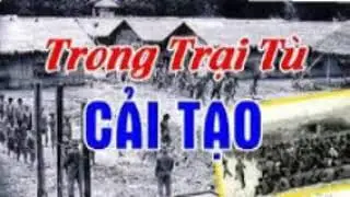 C&Aacute;NH HOA D&Ugrave; R&Aacute;CH N&Aacute;T - Nguyễn Văn Th&agrave;nh AC28