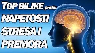 PRIRODNI LEK ZA KONCENTRACIJU, SMIRENJE, RELAKSACIJU I MENTALNO ZDRAVLJE! Dr Mihajlovic