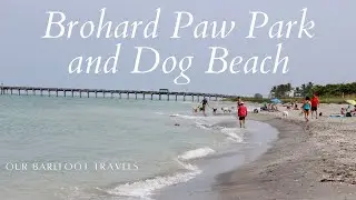Brohard Paw Park and Dog Beach | Sarasota County | Venice Florida | Beach Walking Tour | Dogs