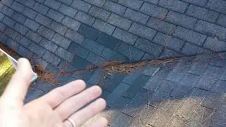 Proper Valley Repair? | Sharpe Roofing University