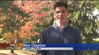 Fall Colors Are Peaking In Northwestern MN