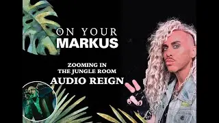 Zooming in The Jungle Room with Audio Reign