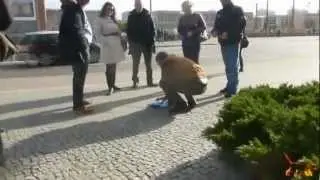 Shell Game Swindle In Berlin