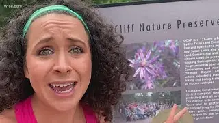 Nature's Gems: Oak Cliff Nature Preserve