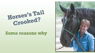 Crooked Tail