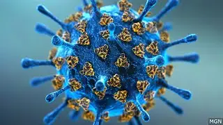 Northern MN Health Care Systems Discuss COVID-19 Developments