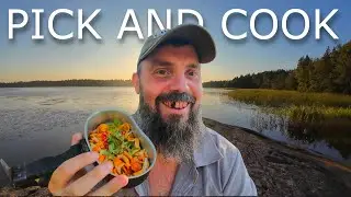 PICK AND COOK | OVERNIGHTER
