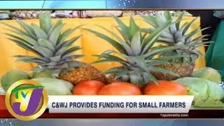 TVJ News Today: Credit Union to Provide Funding for Small Farmers - Business Day - June 18 2019
