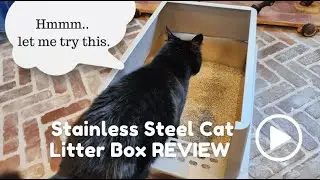 Steel Appeal: No More Litter Box Smell REVIEW