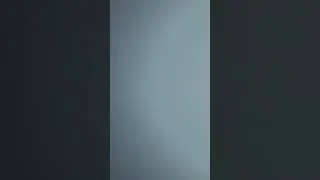 sneezes and honking