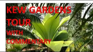 Kew Gardens Palm House Tour With Commentary