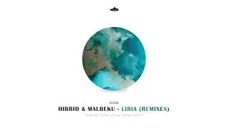 Hibrid feat. malbeku - Liria (Miran Kapor Interpretacija)