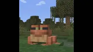 frog paradise