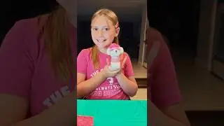 Our Generation Surprise Pets