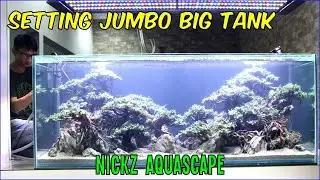 Setting Tank Besar 170cm All Bucephalandra | Nickz Aquascape