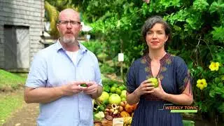 Citrus Bioflavonoids l LifeSeasons Weekly Tonic Episode 69