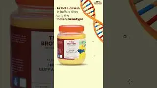 India's healthiest Buffalo Ghee | Two Brothers