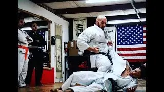 Hayashi- Ha Shito-Ryu