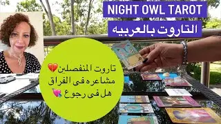 تاروت إختر كارت المنفصلين عامل إيه في فراقك و هل في رجوع / نواياه و فرصه إصلاح العلاقه 🌻