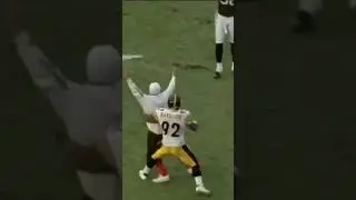 James HARRISON SLAMS BROWNS FAN🤣