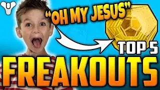 Curse Of Osiris Exotic FREAKOUT! - Destiny 2 - Top 5 Funny Reactions / Episode  37