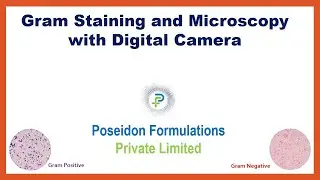 Gram Staining and Microscopy with Digital Camera