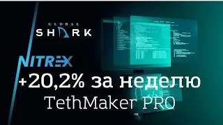 Nitrex. TethMaker PRO результат торговли +20.2% за неделю