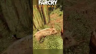 Far Cry Primal Hunting #shorts #gaming #farcry #farcryprimal #farcry6 #farcry5 #farcry4 #farcry3
