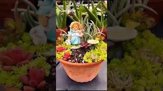 How to Create Easy Succulent Decorations for Your Home #cactus #plantsmart