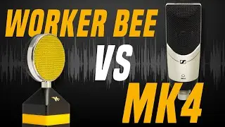 Neat Microphones Worker Bee vs Sennheiser MK4 | Voice-over and Podcasting