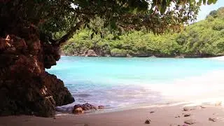 10 HOURS of Tropical Beach & Ocean Sounds | Perfect for Study and Relaxation.