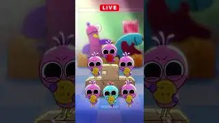 Opila Bird Flower Challenge