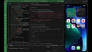 My Flutter workspace setup after along time  (VS code with Copilot)