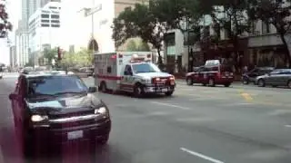 MOV01341
