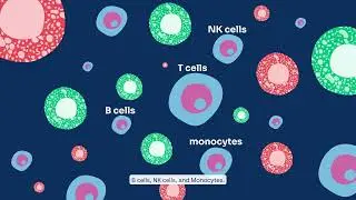 Early Cancer Detection with Onco-D-clare by RGCC