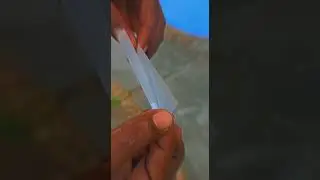 Ganja lover