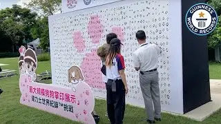Anson Lo Breaks Dog Print Display Record! | Guinness World Records