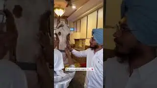 #waheguru #gurupurab #youtubeshorts #shorts #viral #artist