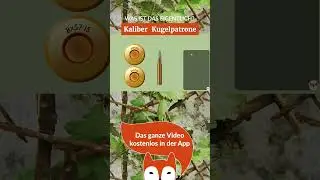 Kaliber Kugelpatrone - Was ist das eigentlich?