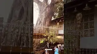 Gangarama Temple, Colombo, Sri Lanka..!  #travel  #visitsrilanka