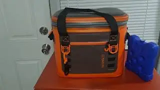 Magellan Frosty Vault 24 can cooler from Academy Sports + Outdoors Review..