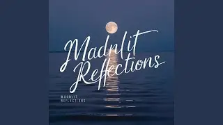 Moonlit Reflections