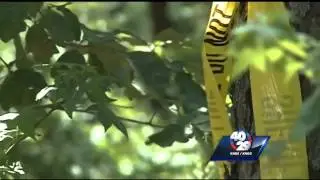 Bodies of missing father, son discovered in Yell County